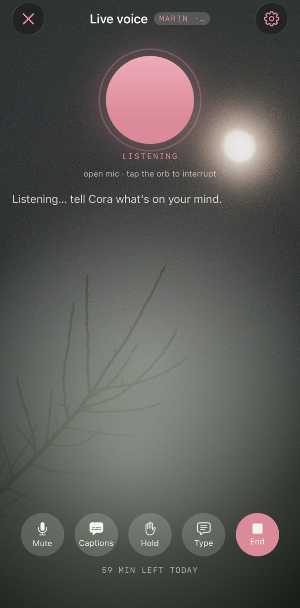 Live voice: talking with Cora, open mic listening